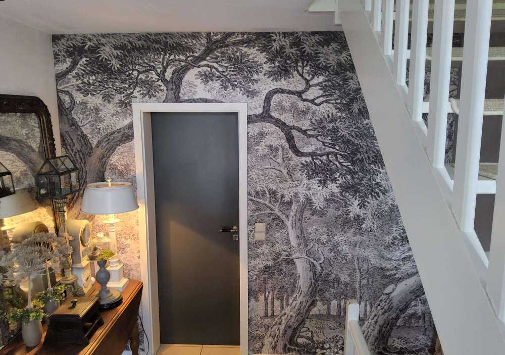 Vue sur la forêt avec deux cerfs