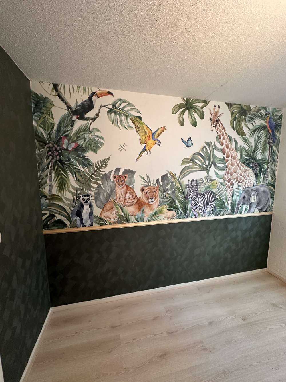 Animaux sauvages de la jungle