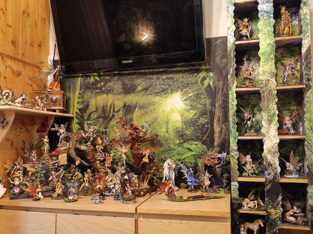 Jungle tropicale avec lumière du soleil