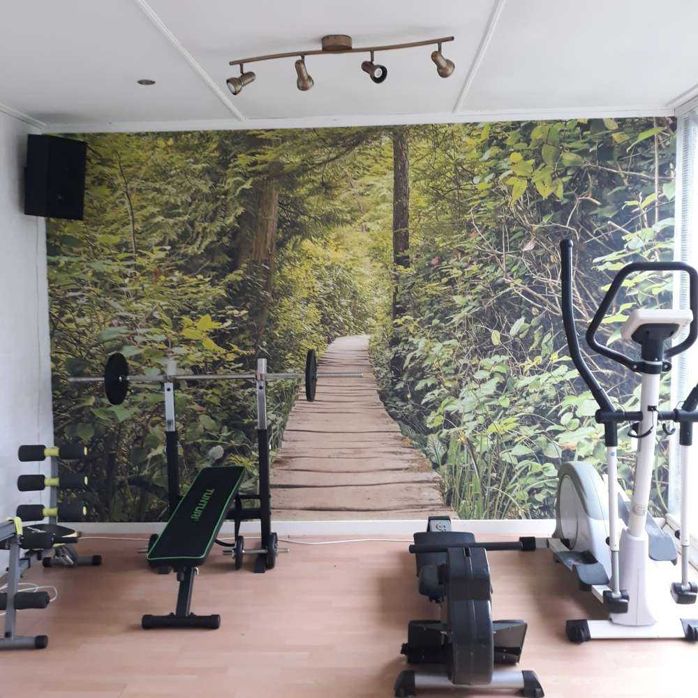 À travers la forêt verte