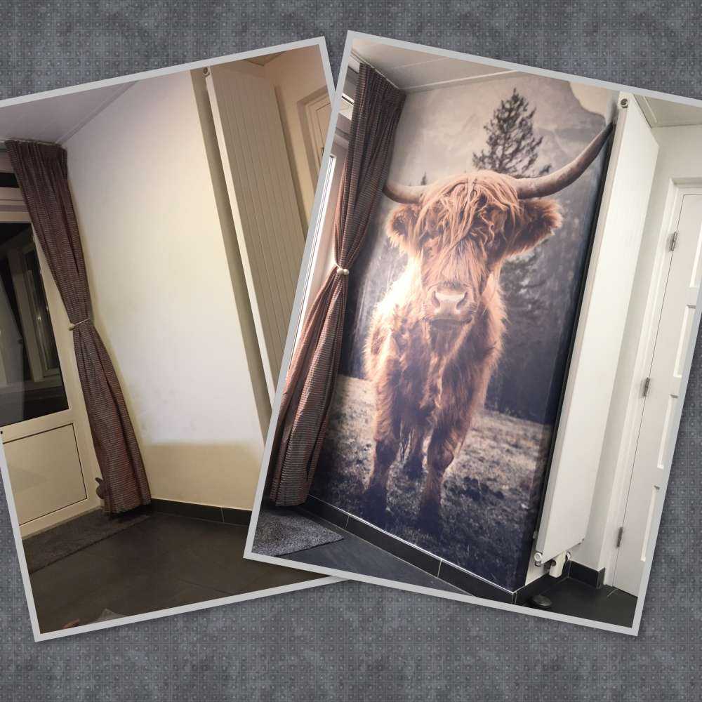 Le Highland écossais au bord de la forêt