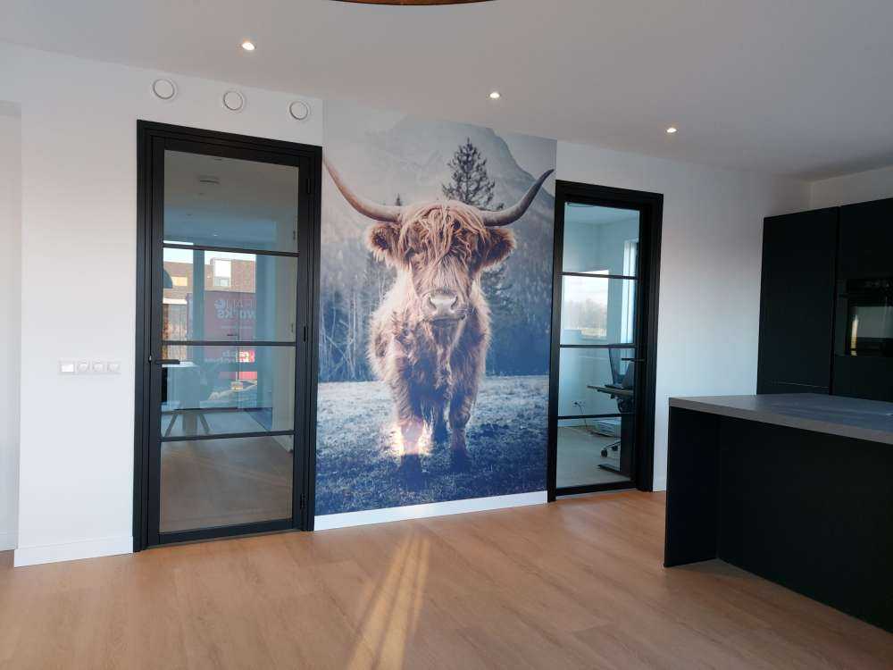 Le Highland écossais au bord de la forêt