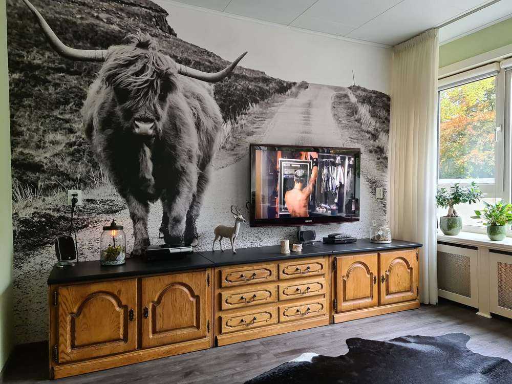 Le Highland écossais sur la route