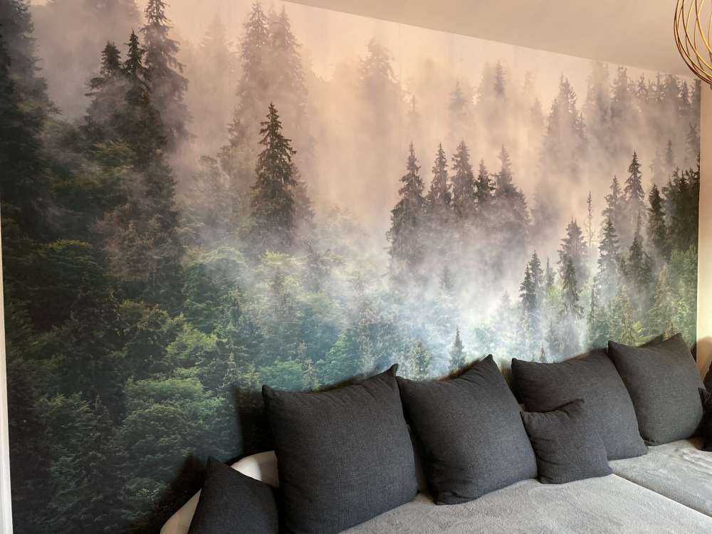 Paysage brumeux avec des arbres verts