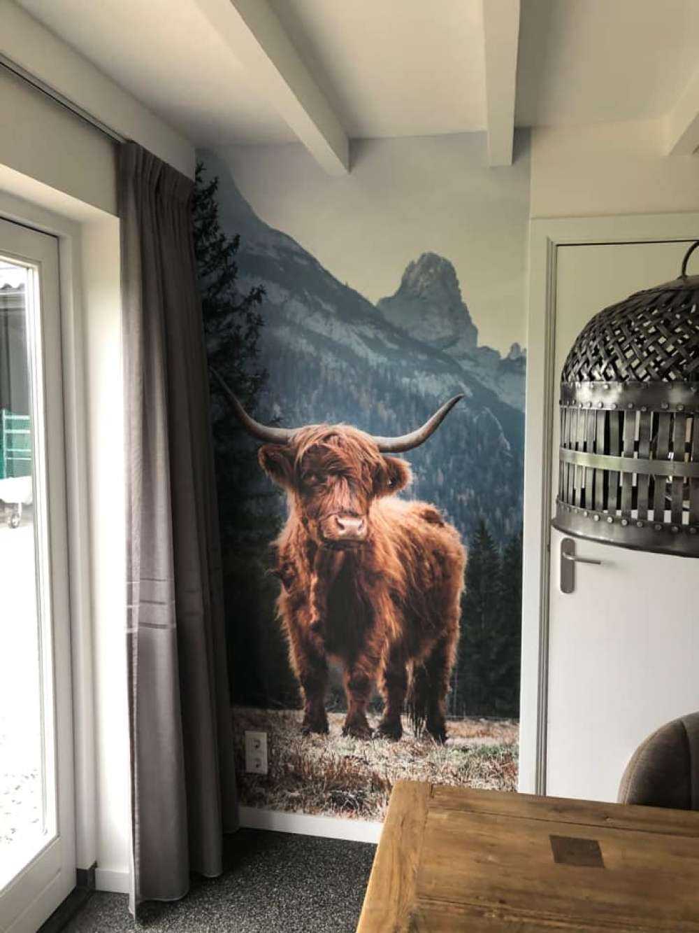 Un Highland écossais parmi les arbres