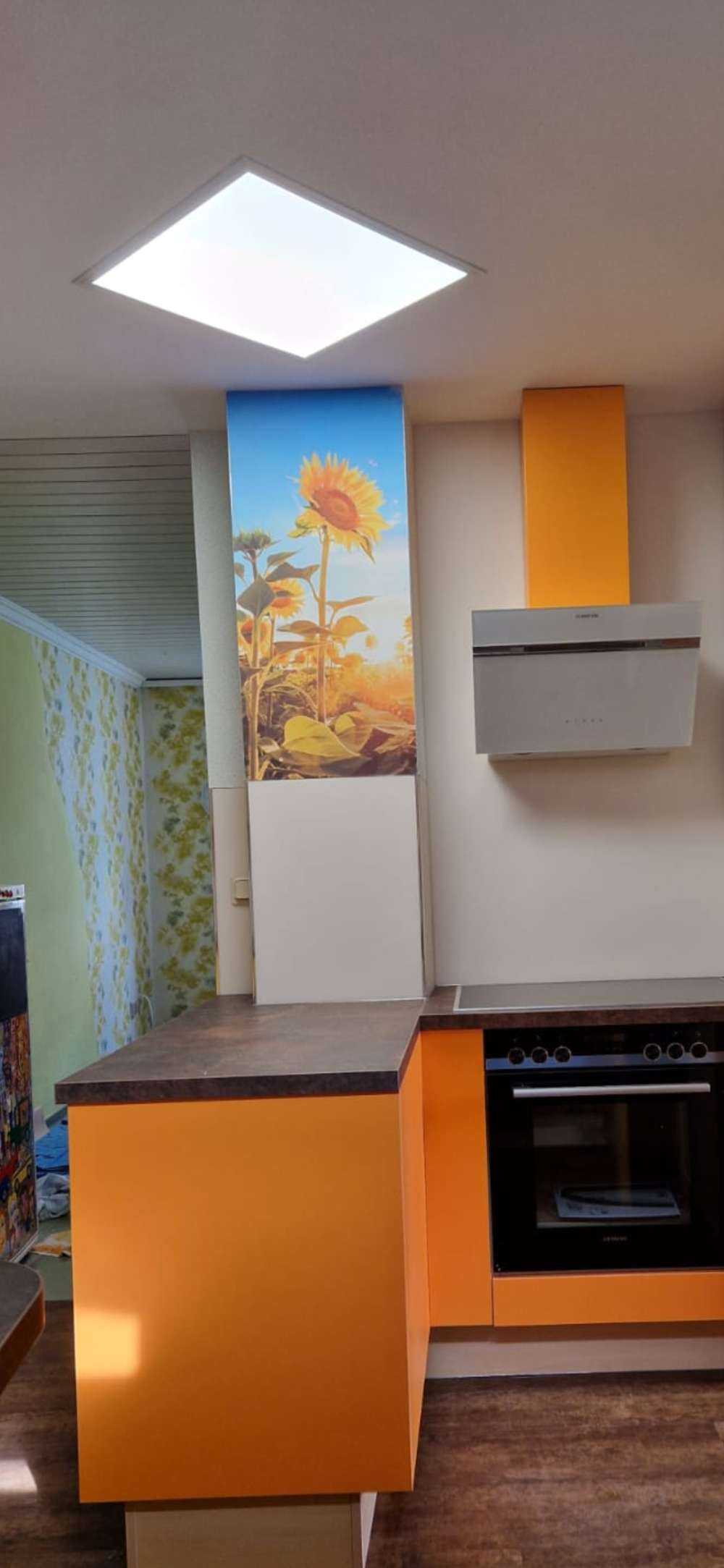 Tournesol avec ciel bleu