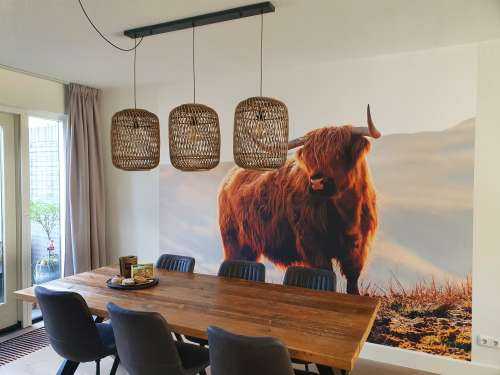Un Highland écossais sur une colline