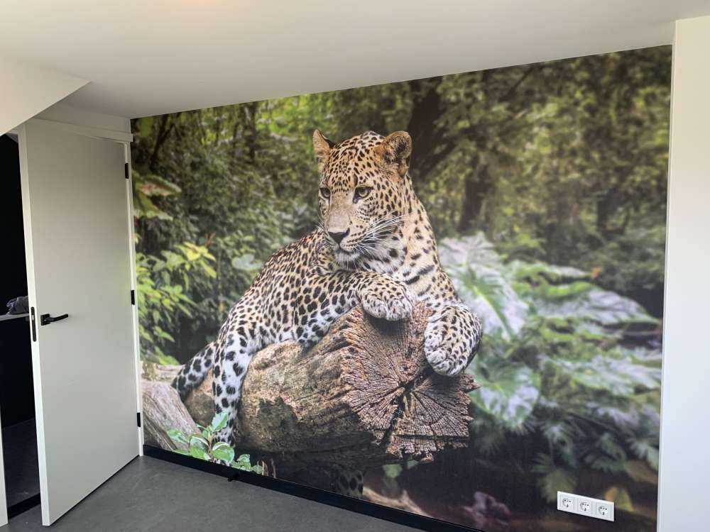 Un léopard sur une branche