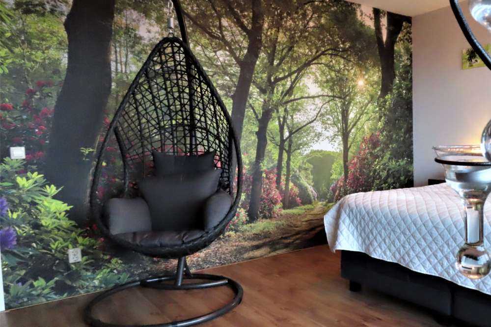 Lever de soleil sur le chemin avec des rhododendrons