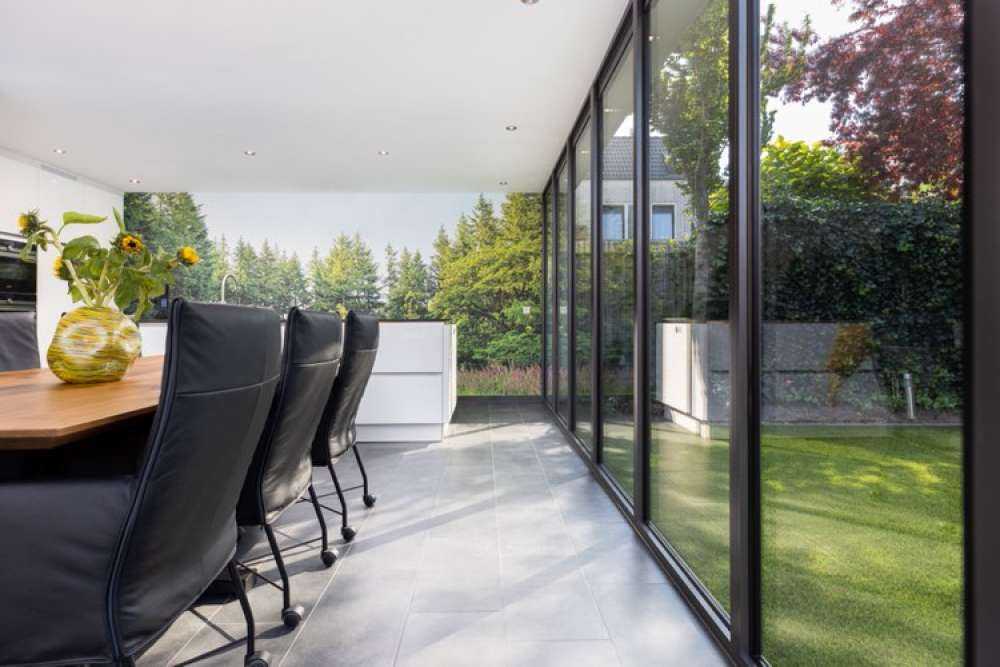 Espace ouvert dans une forêt