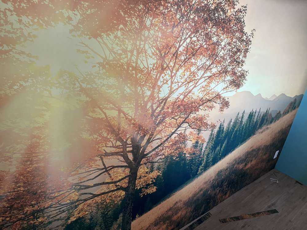 Coucher de soleil dans une vallée