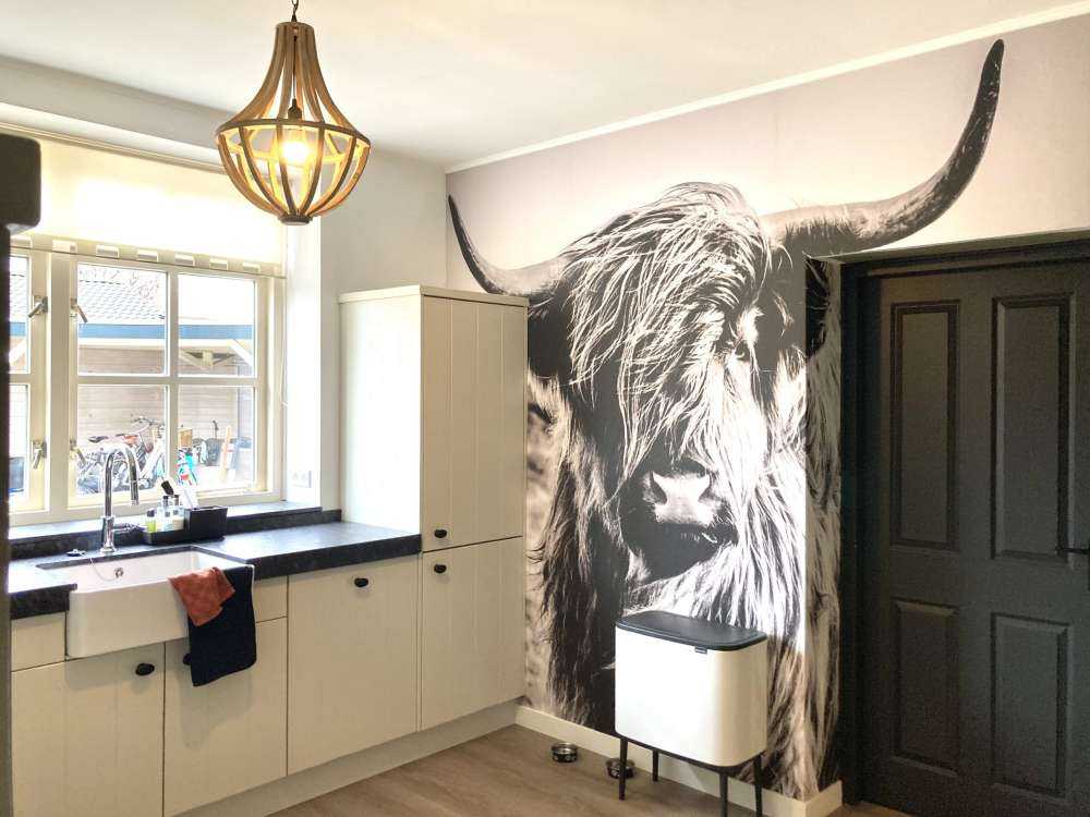 Le Highland écossais en noir et blanc