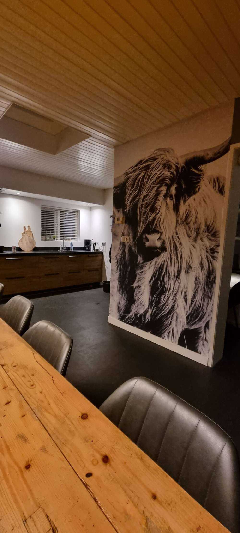 Le Highland écossais en noir et blanc