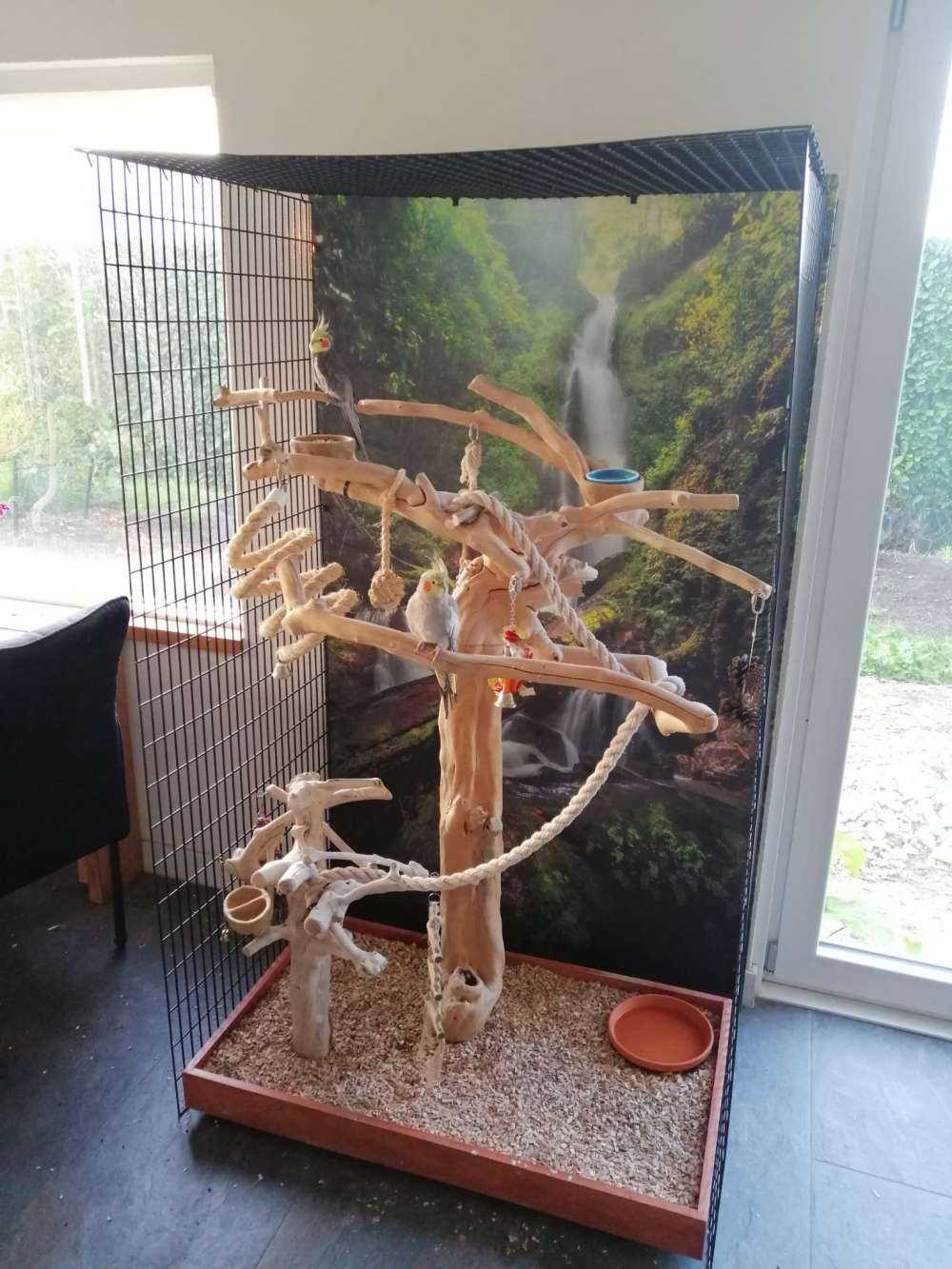 Gros plan sur une chute d'eau