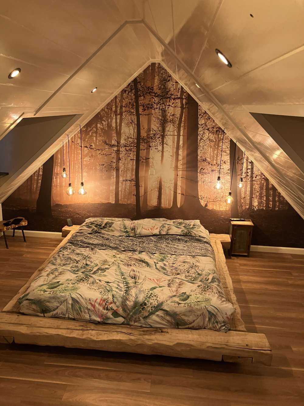 Soleil dans une forêt brumeuse