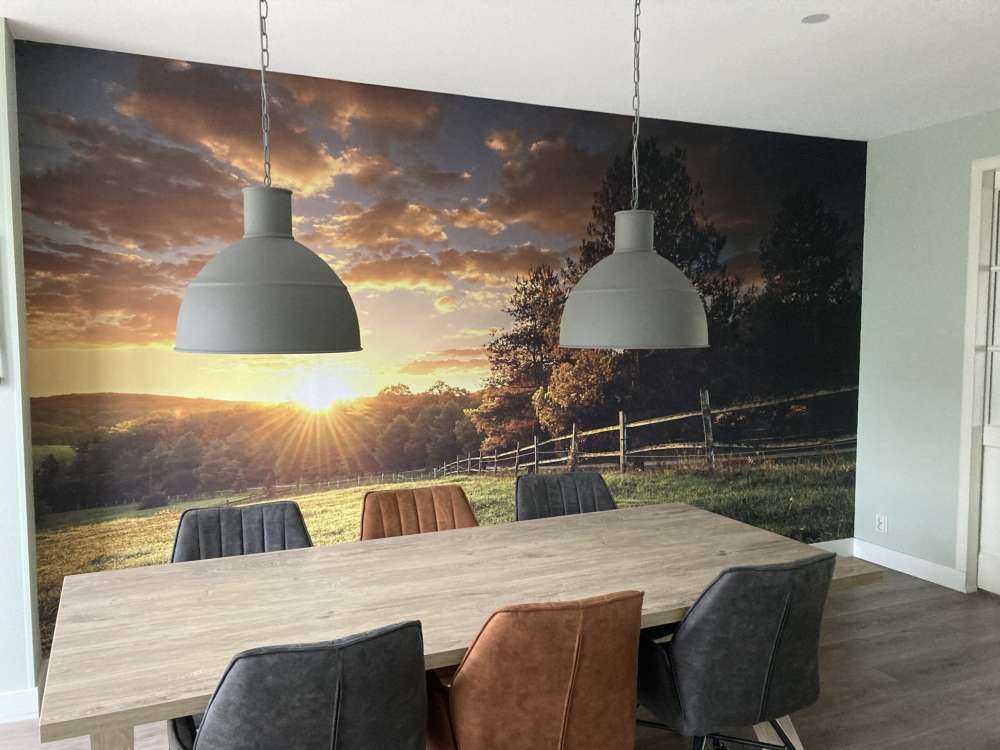 Pâturage au coucher du soleil