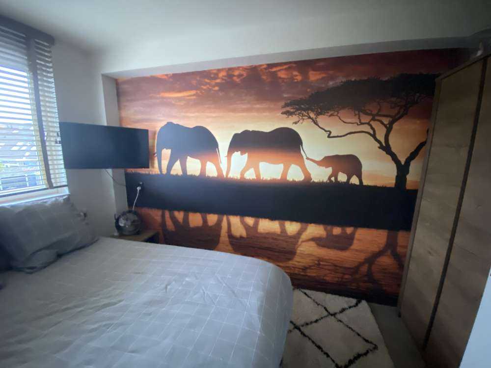 Les éléphants dans la savane