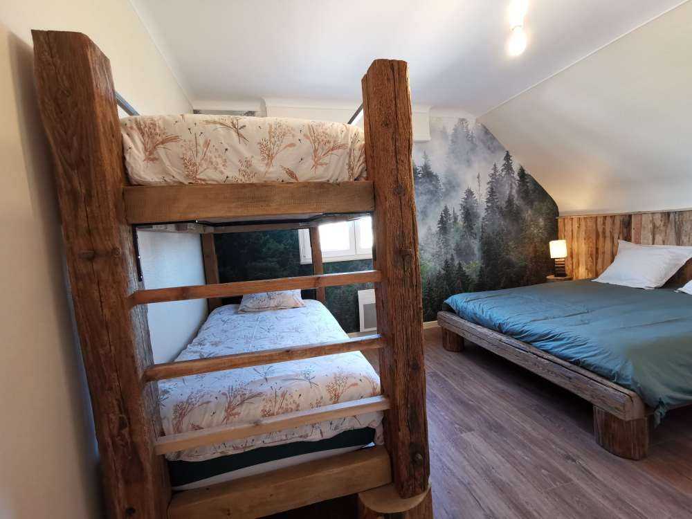 Paysage brumeux avec des arbres verts