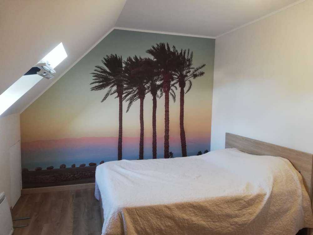 Palmiers au coucher du soleil