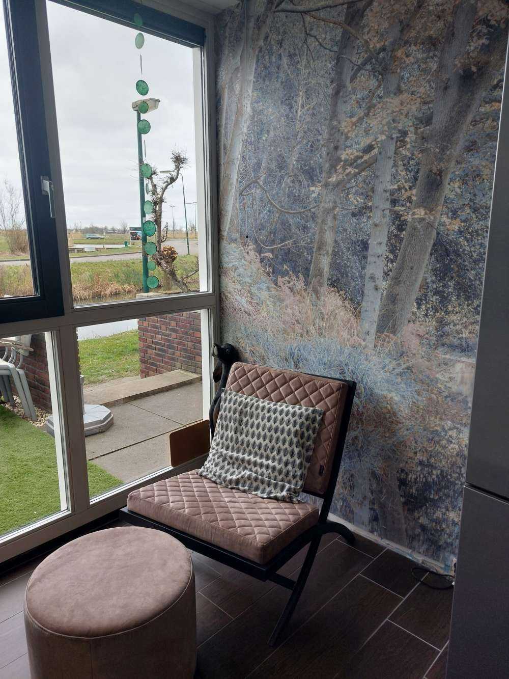 Rivière dans les bois