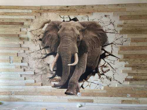 Grand éléphant hors du mur