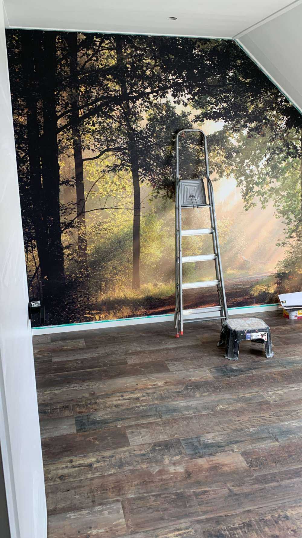 Matin brumeux de printemps