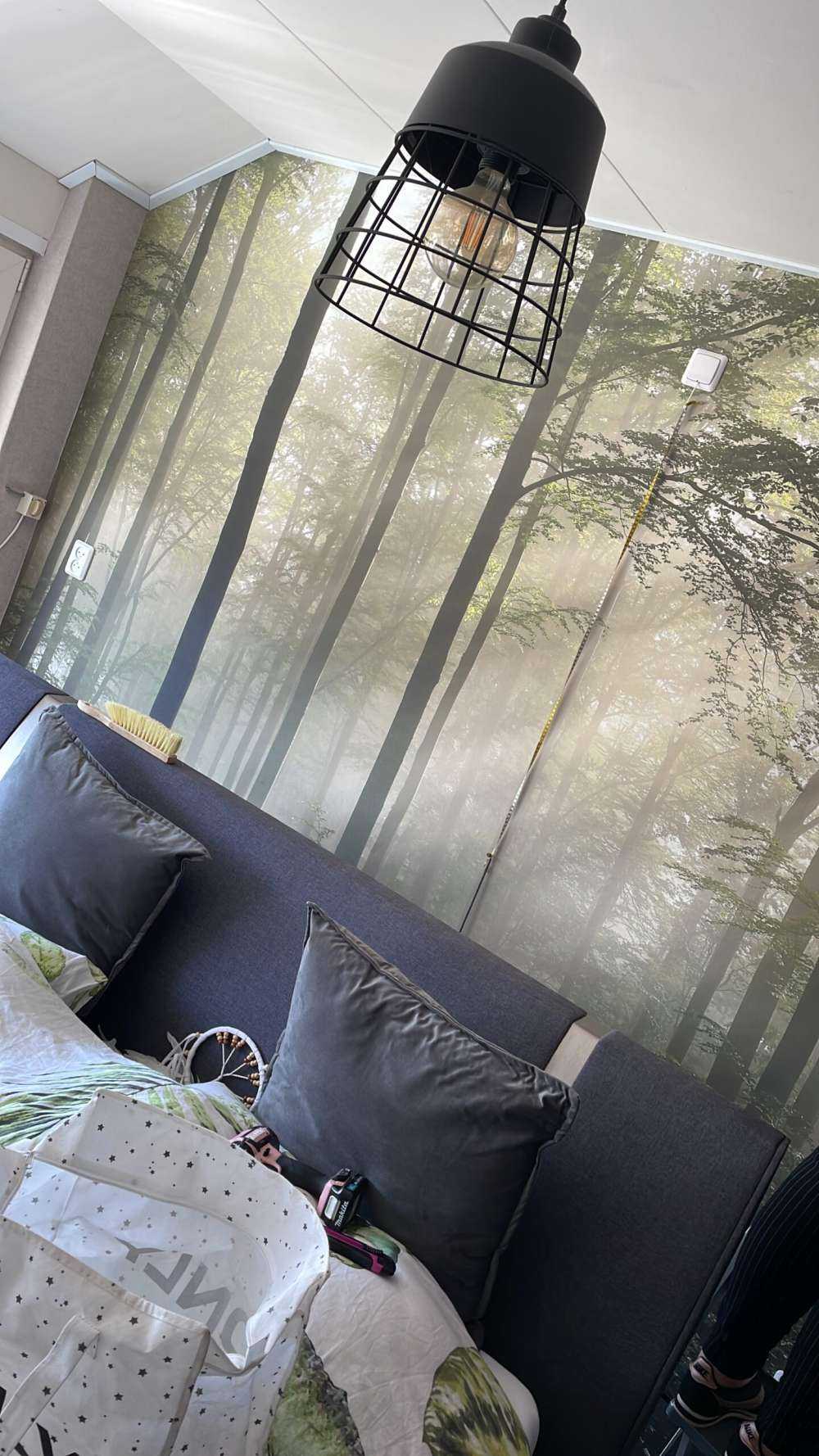 La forêt verte dans le brouillard