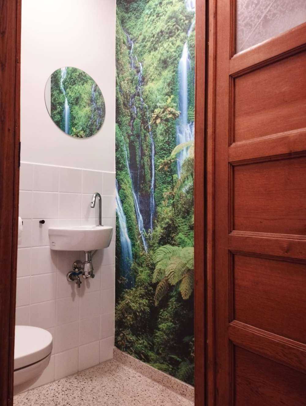 Jungle verte et chutes d'eau