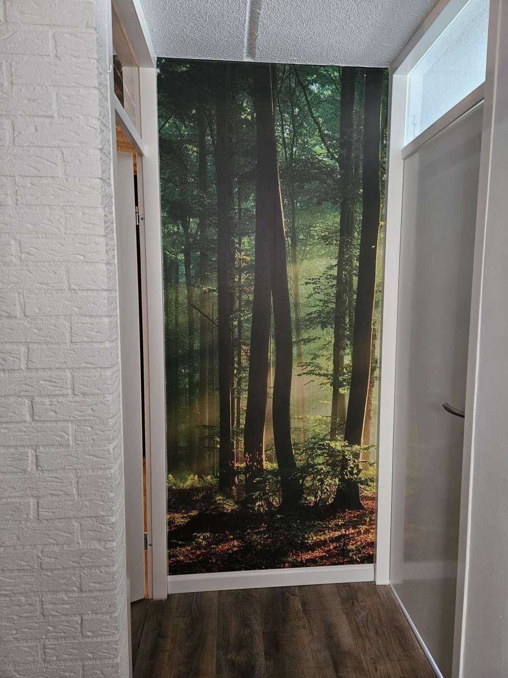 Soleil matinal parmi les arbres