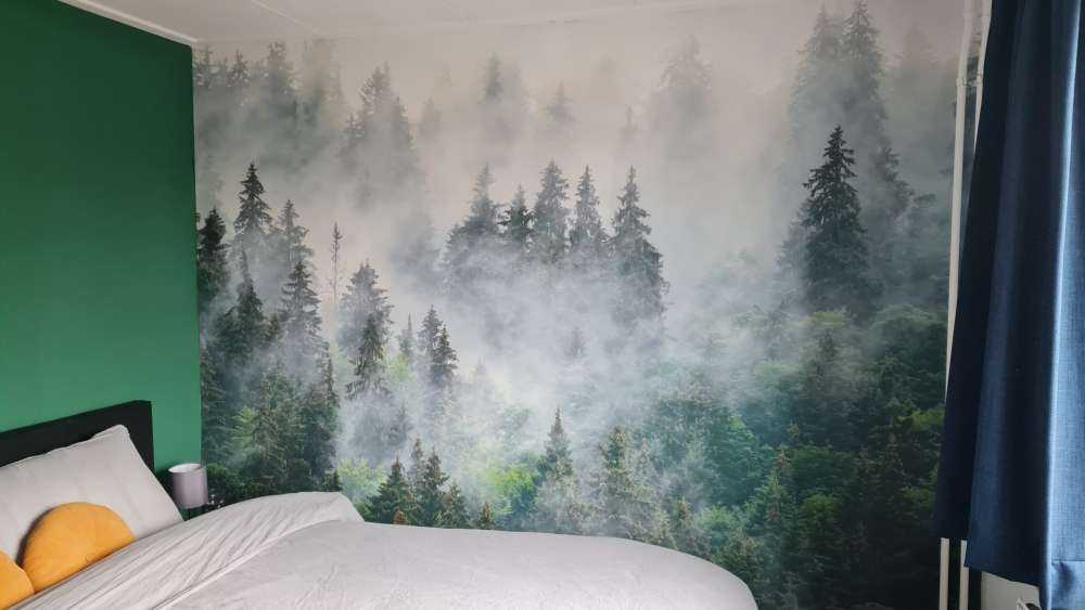 Paysage brumeux avec des arbres verts