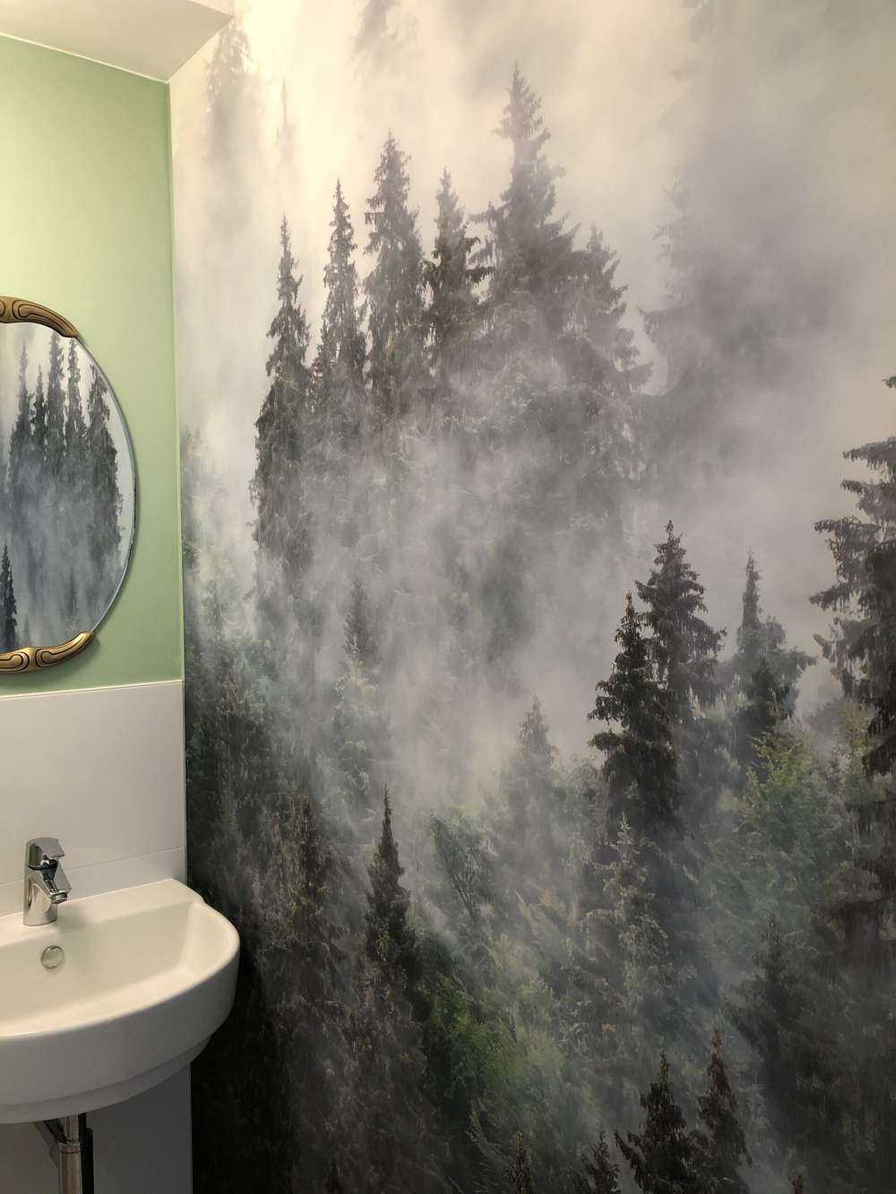 Paysage brumeux avec des arbres verts