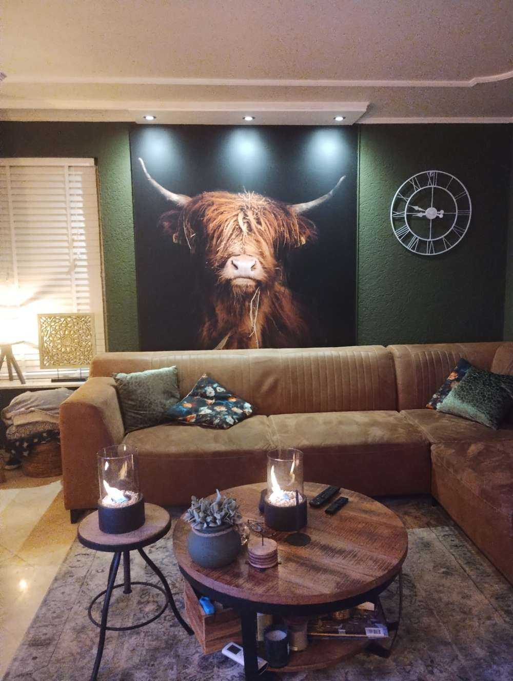 Portrait Scottish Highlander