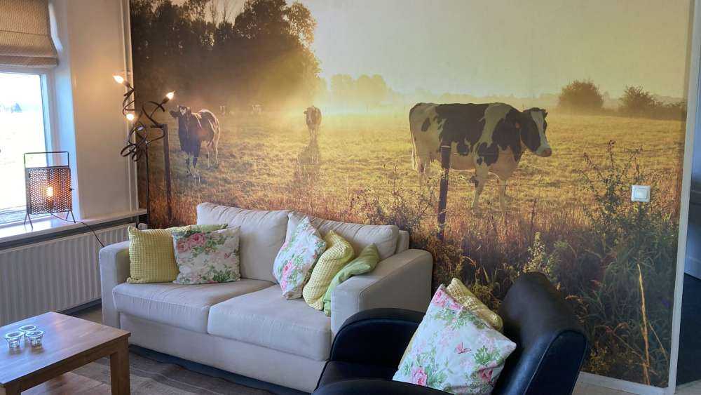 Vache au lever du soleil