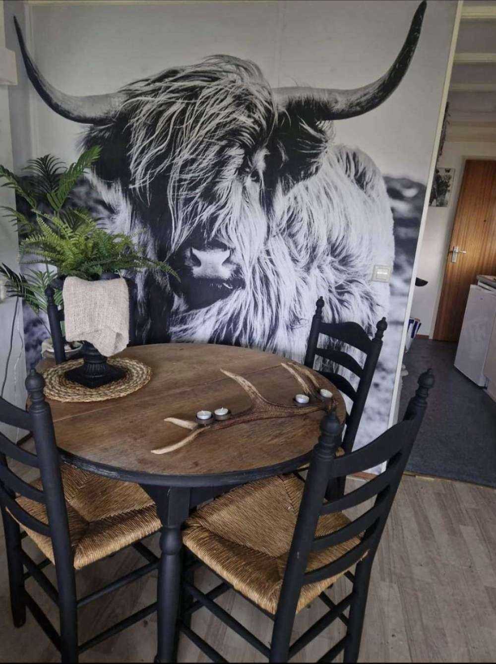 Le Highland écossais en noir et blanc