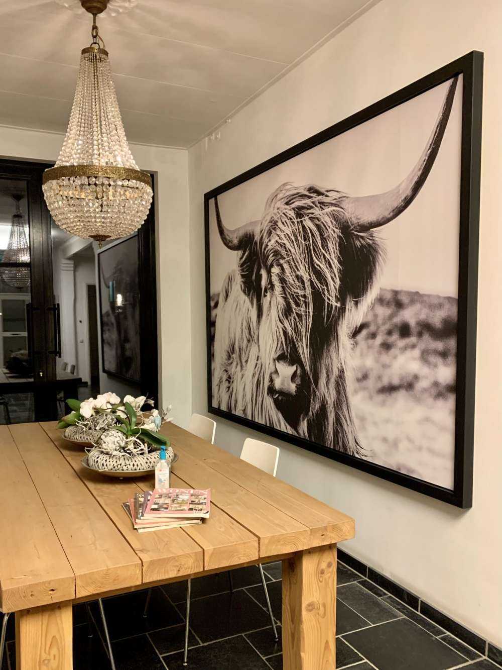 Le Highland écossais en noir et blanc