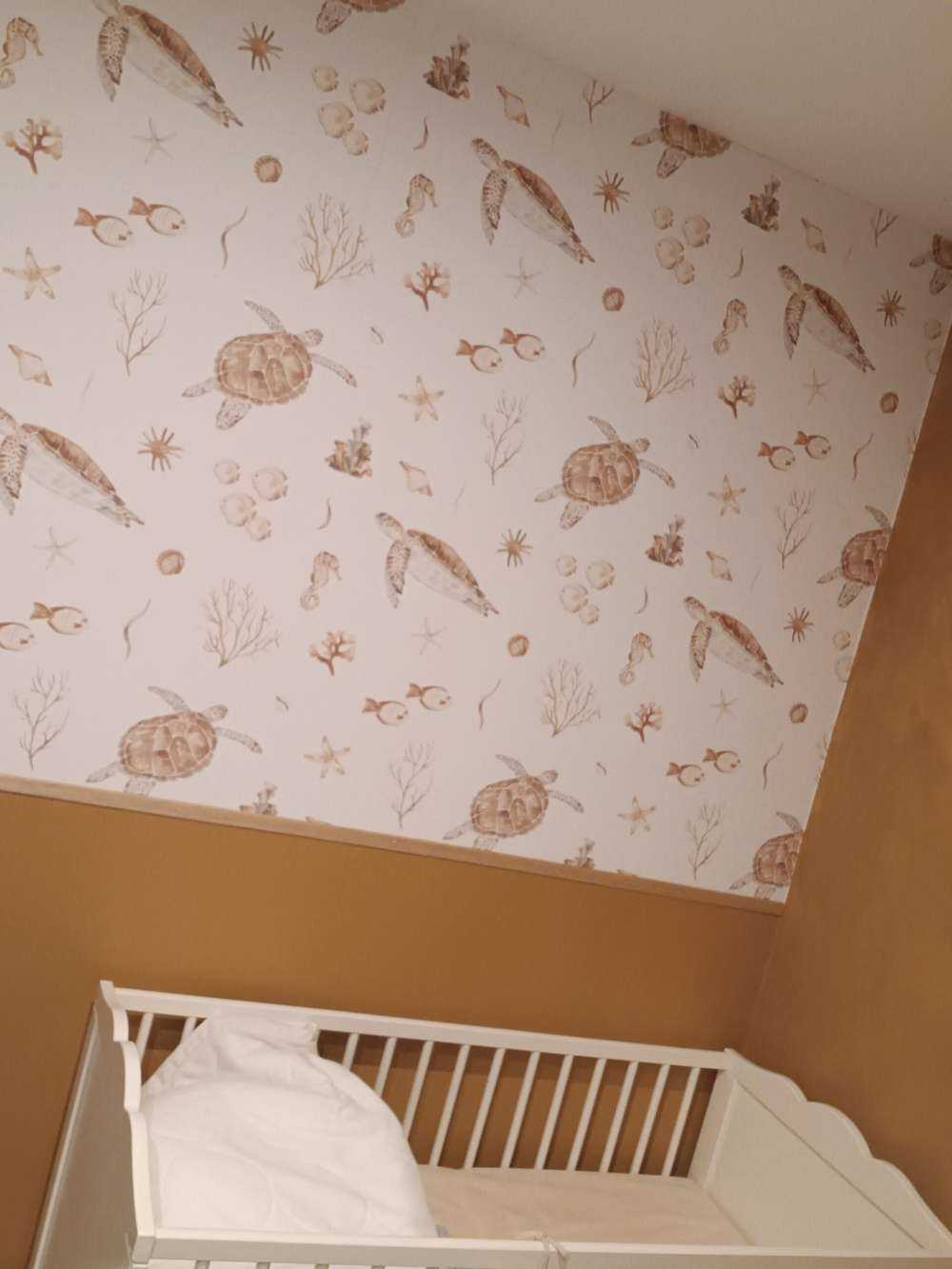 Coquillages et créatures marines