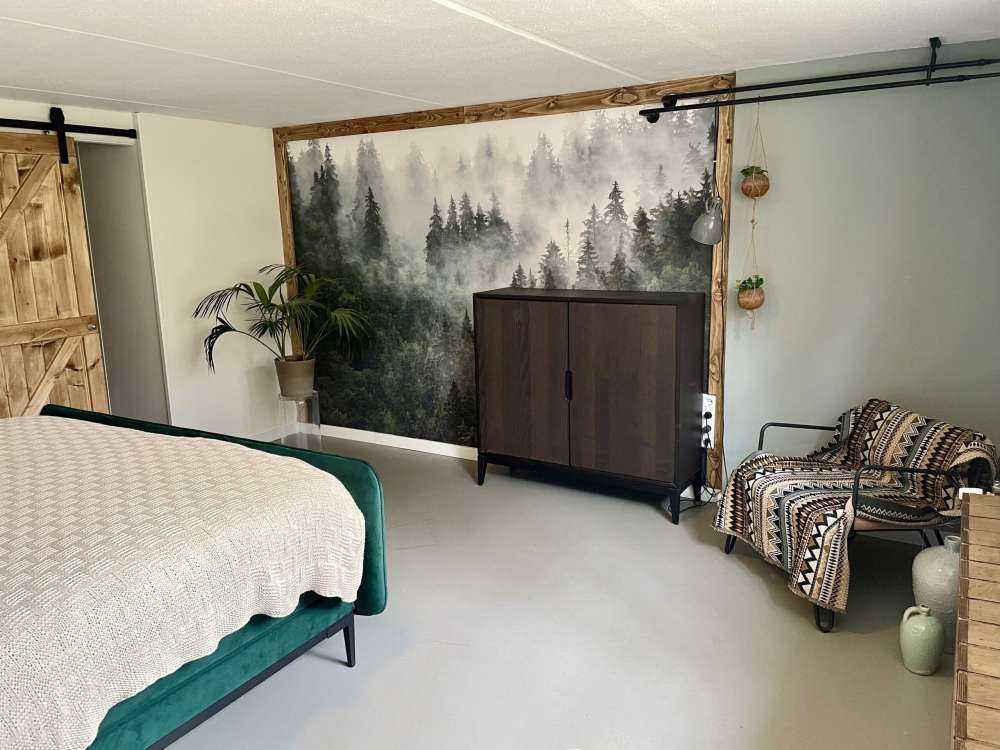 Paysage brumeux avec des arbres verts