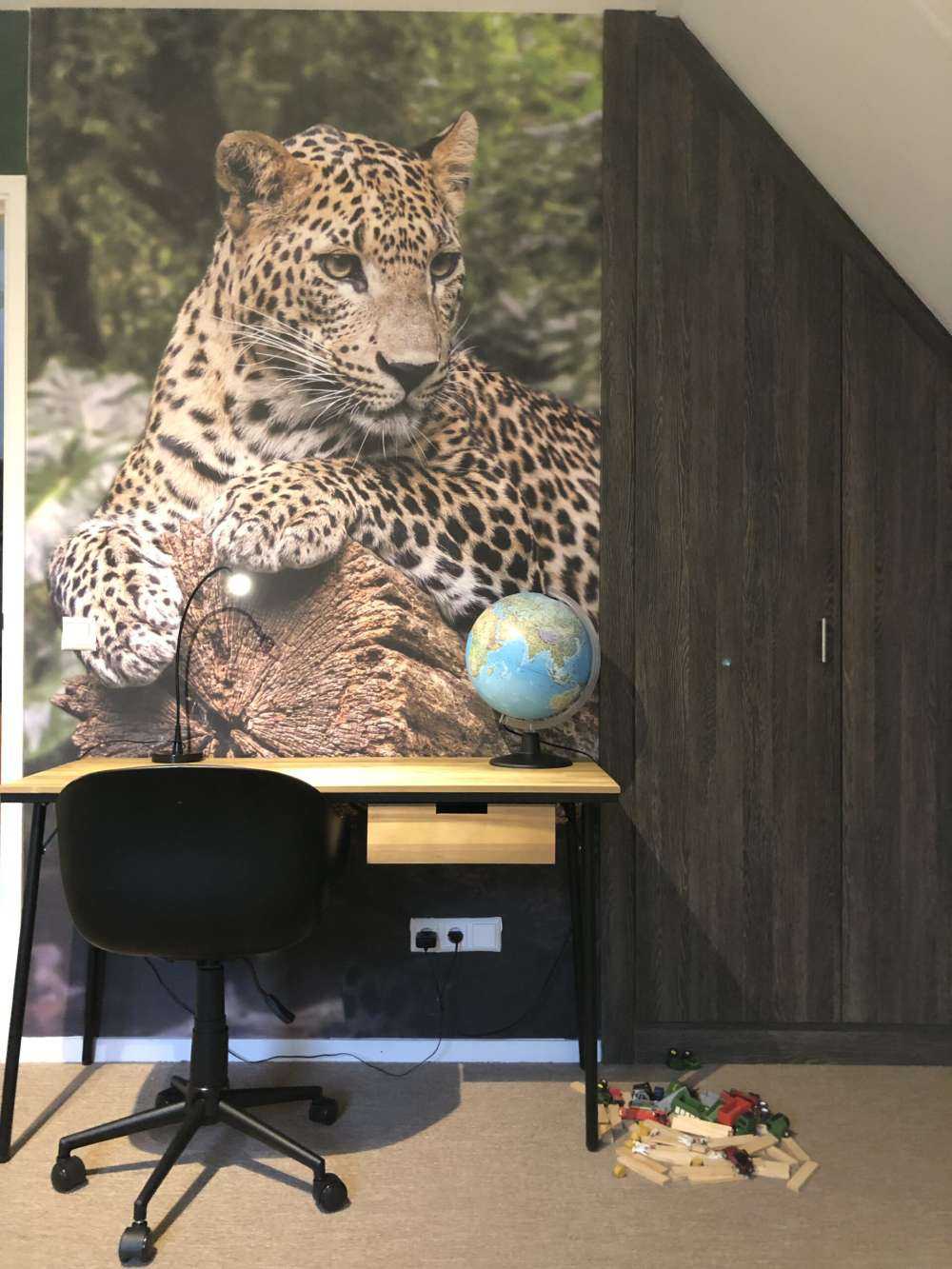 Un léopard sur une branche