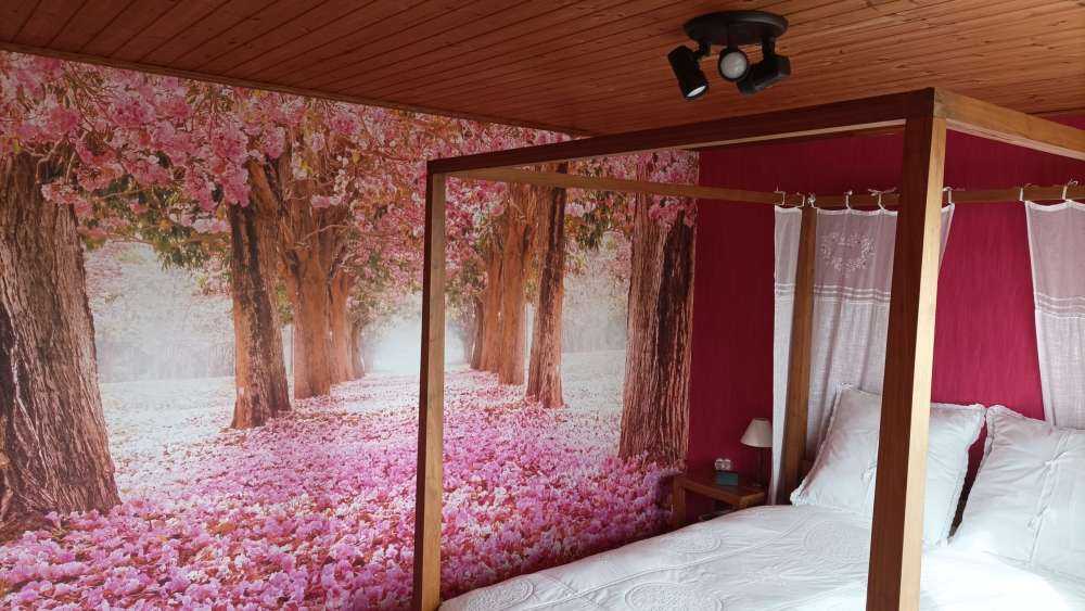 Fleur de papier peint pour photos