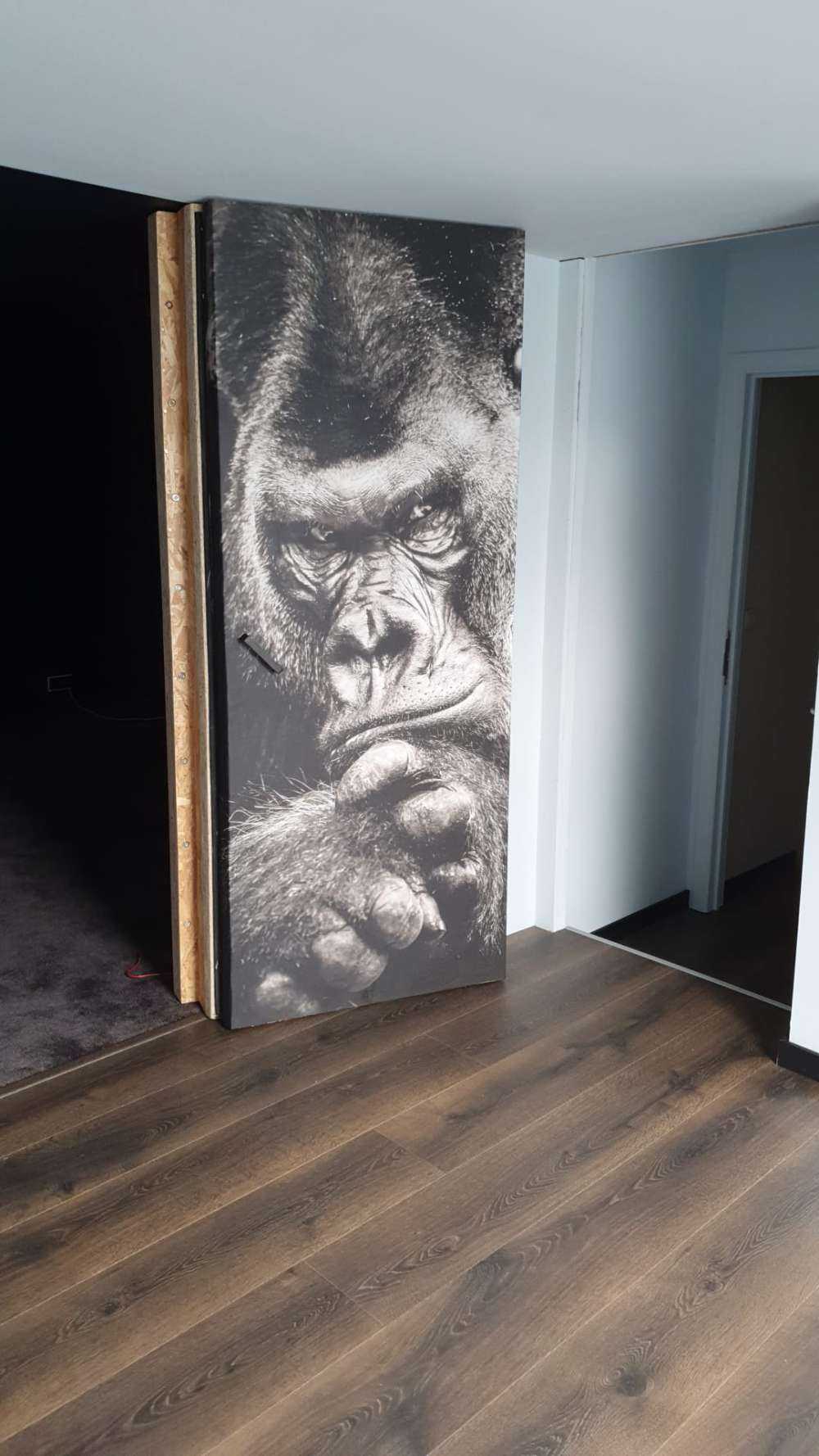 Gros plan d'un gorille