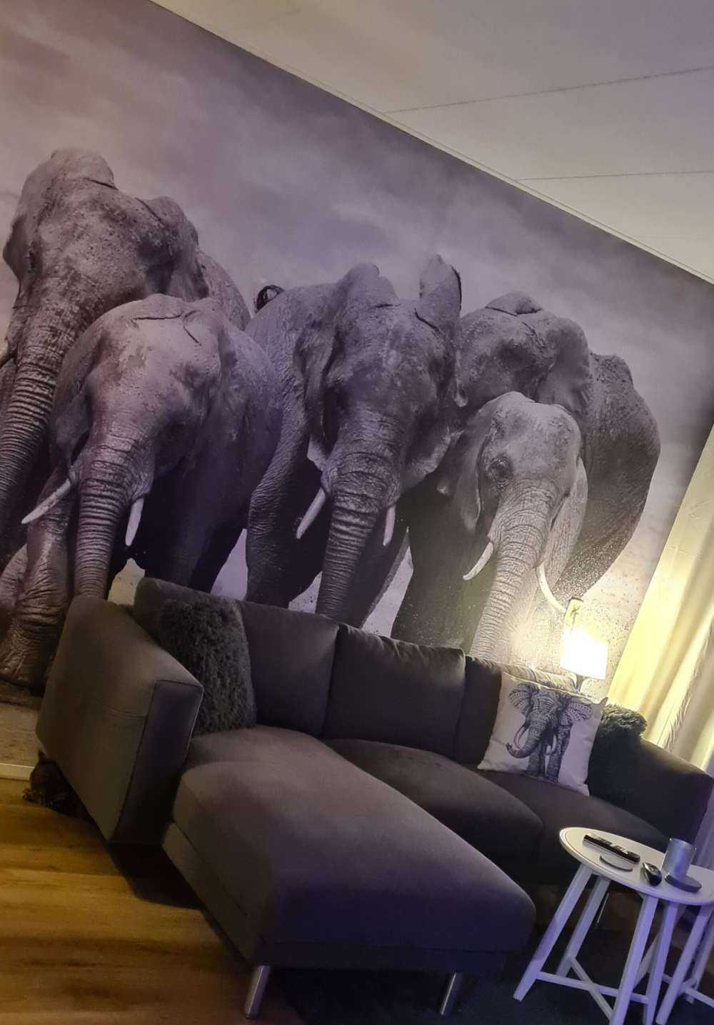 Troupeau d'éléphants