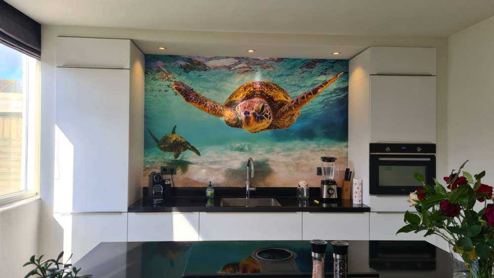Tortue de mer dans l'océan