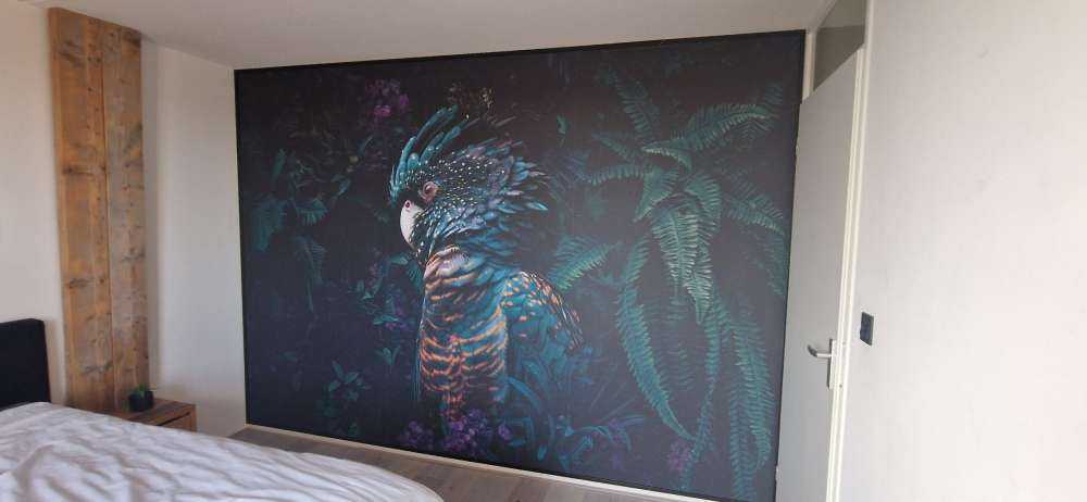 Jungle Cockatoo
