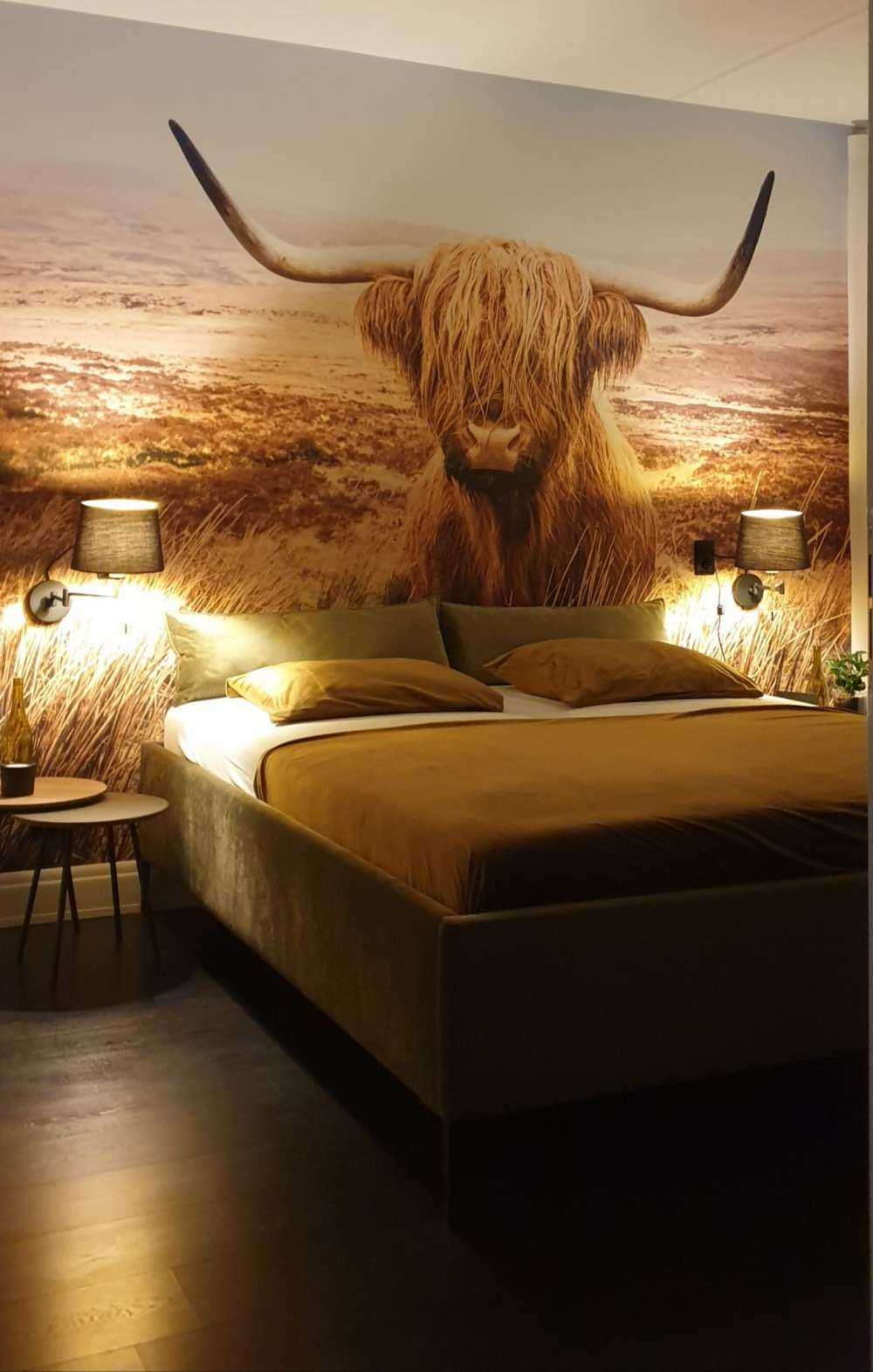 Highland écossais avec roseau