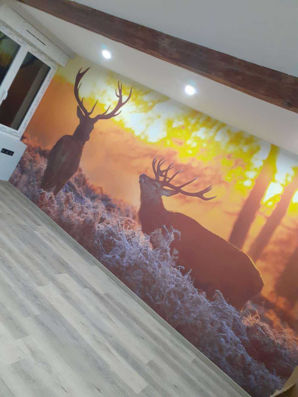 Cerfs au coucher du soleil