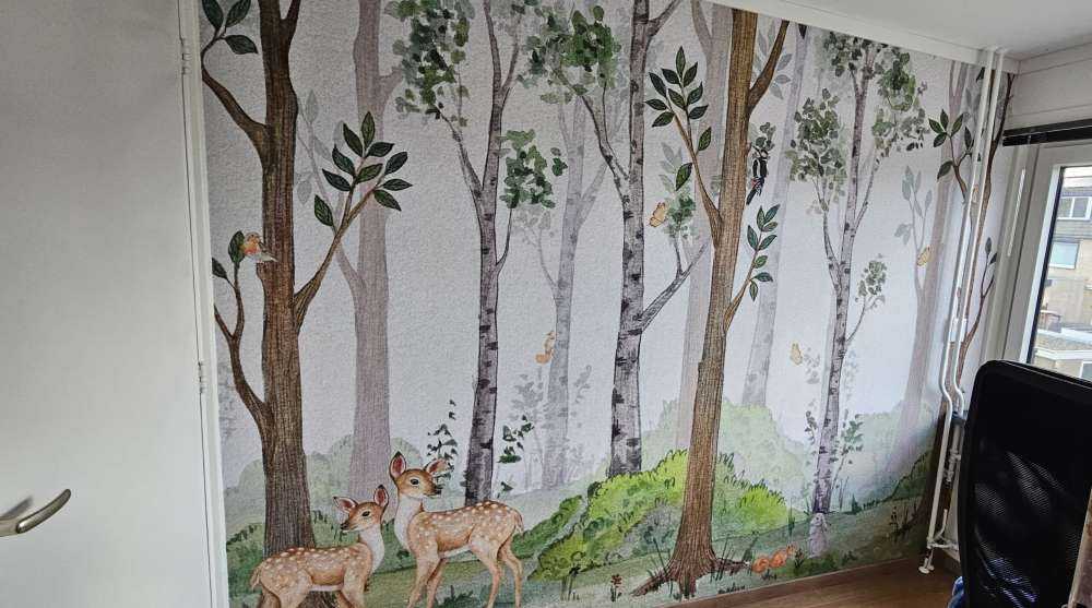 Animaux dans la nature