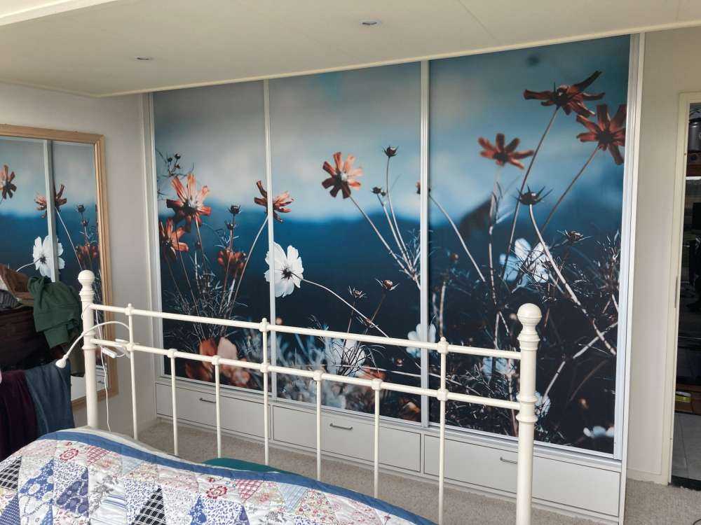 Le cosmos fleurit dans les champs