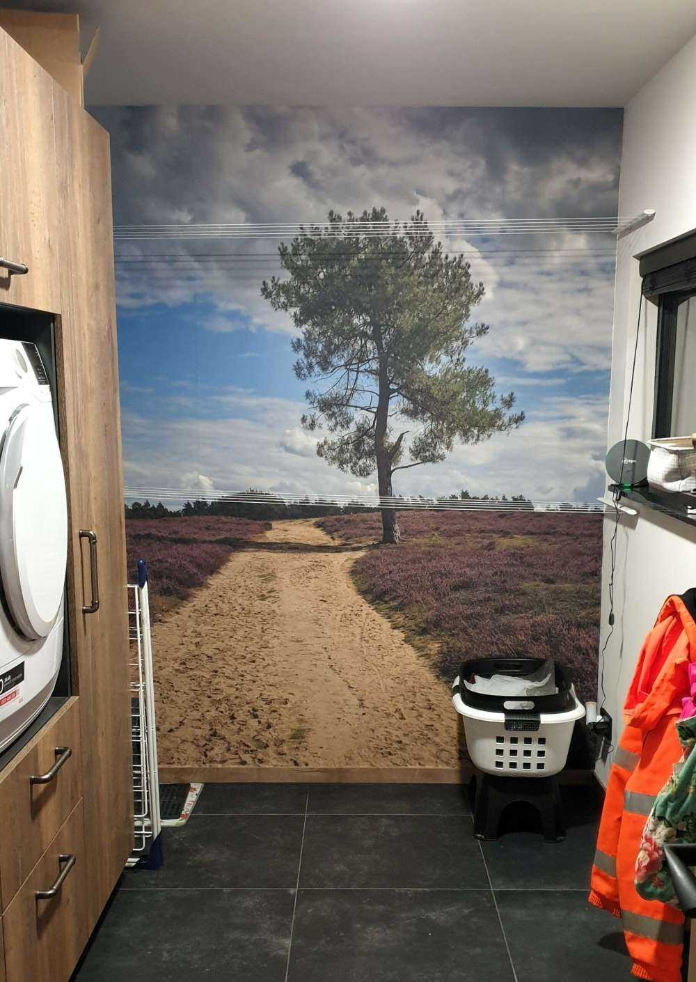 Un arbre dans la bruyère