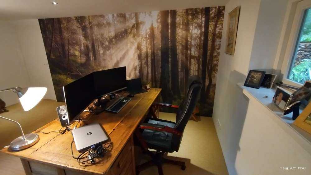 Forêt d'automne ensoleillée