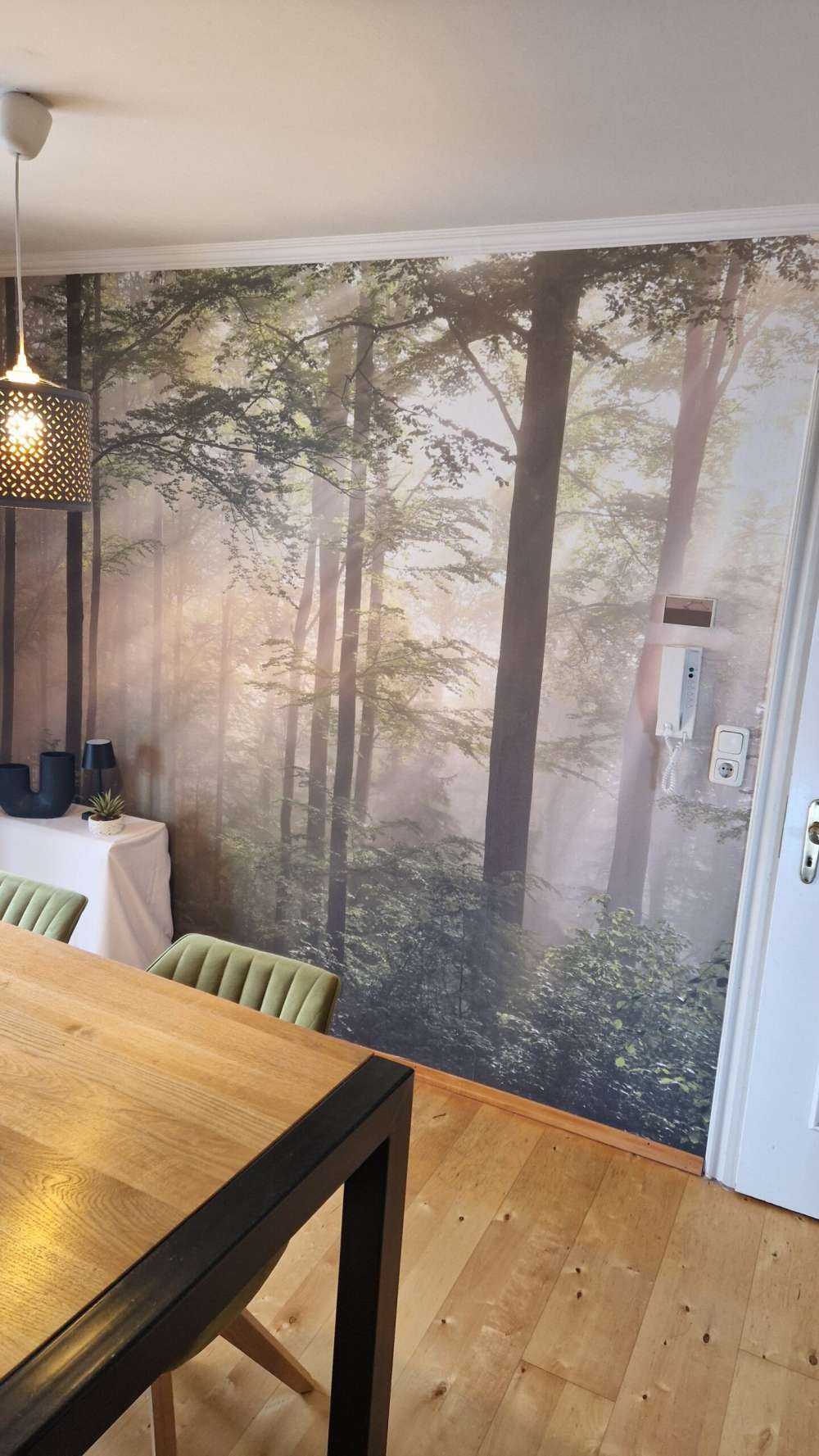La forêt verte dans le brouillard